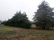 Ishinomaki-Takara Nursery School Construction. August 2015 Planned construction site.