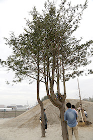 Ishinomaki-Takara Nursery School. Dedication Ceremony.